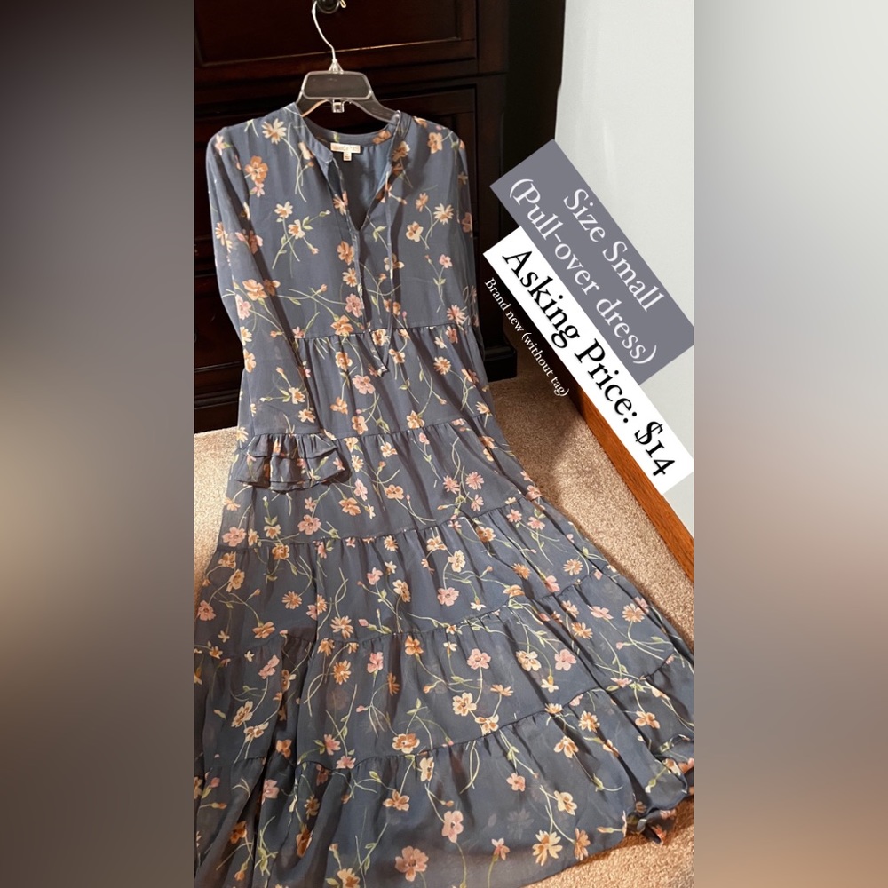 Spring Dress (Women Size Small)